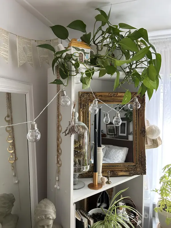 Hang-Mushroom-Wall-Art-Decor-Brighten-Walls-with-Fun-Nature-Inspired